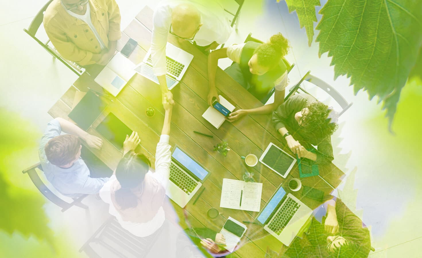 Unlock Your Future: 4 Leadership Secrets for a Thriving Sustainability Career in 2025