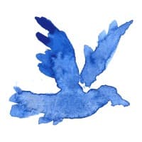 bluebill logo